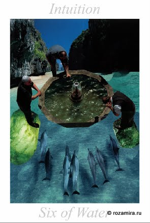 Nature Tarot by Jan Strube